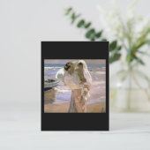 Joaquín Sorolla y Bastida na de dood Briefkaart (Staand voorkant)