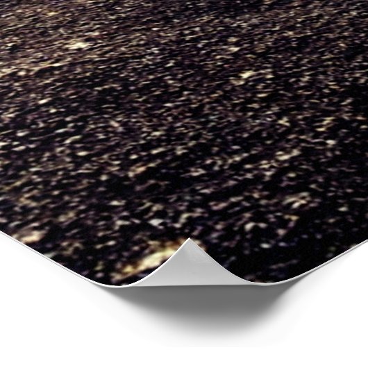 Joaquina Poster (Hoek)