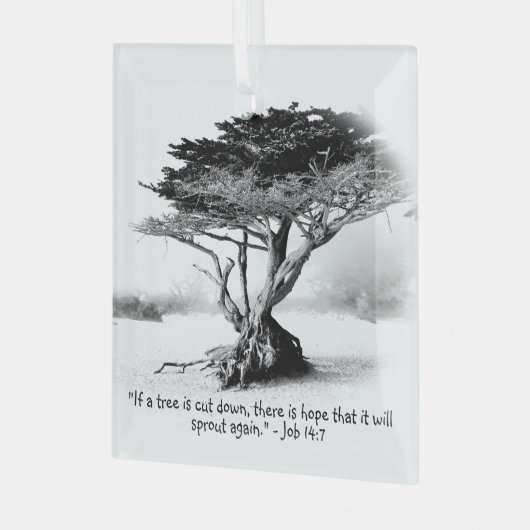 JOB 14:7 Glass Ornament (Voorkant links)