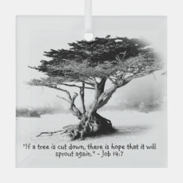 JOB 14:7 Glass Ornament