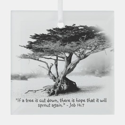 JOB 14:7 Glass Ornament (Voorkant)