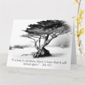 JOB 14:7 Large Folded Wenskaart Kaart (Gele Bloem)