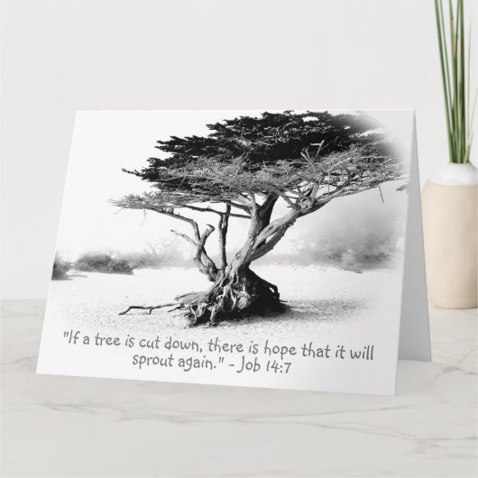 JOB 14:7 Large Folded Wenskaart Kaart (Voorkant)