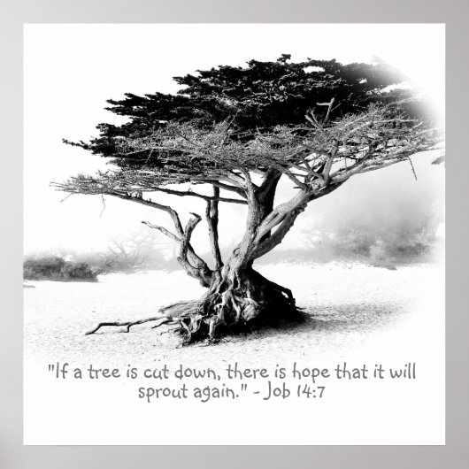 JOB 14:7 Poster (Voorkant)