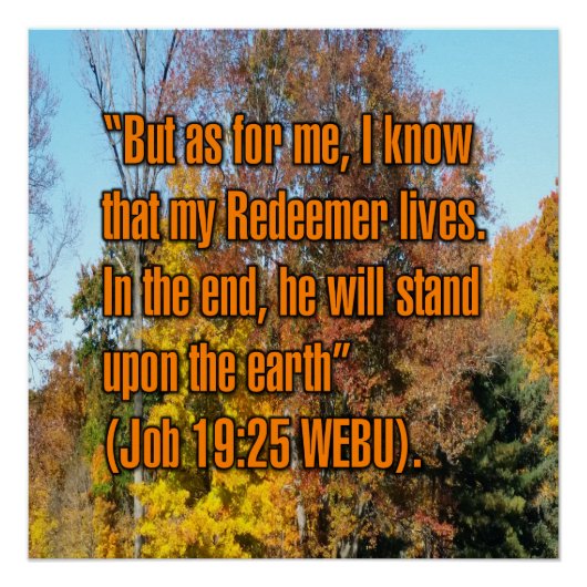 Job 19:25 WEBU Perfect Poster (Voorkant)