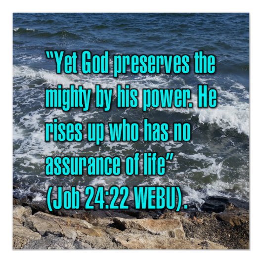 Job 24:22 WEBU Perfect Poster (Voorkant)
