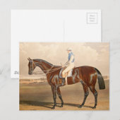  jockey op het paard briefkaart (Voorkant / Achterkant)