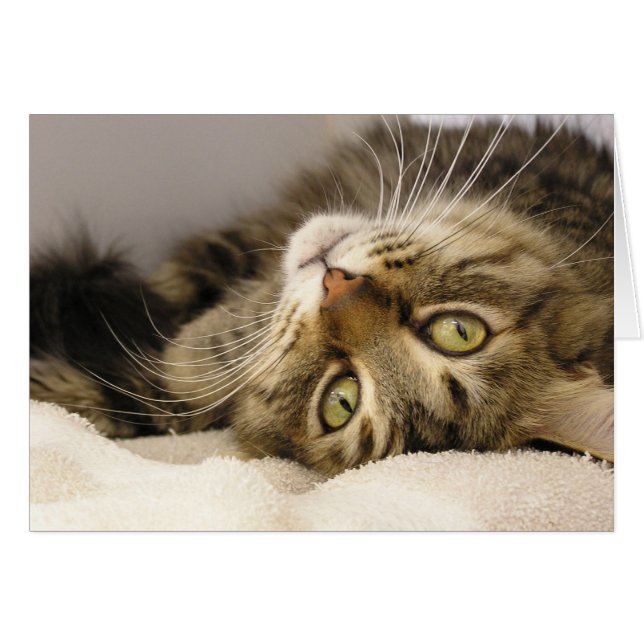 Jody (Voorkant Horizontaal)