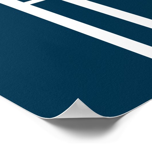 Joe Biden A NEW HOPE Poster (Hoek)