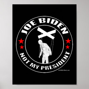 Joe Biden is niet mijn President. Pelosi Trump Poster
