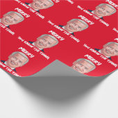 JOE BIDEN WEARING SANTA HAT DE DINGEN CADEAUPAPIER (Hoek)