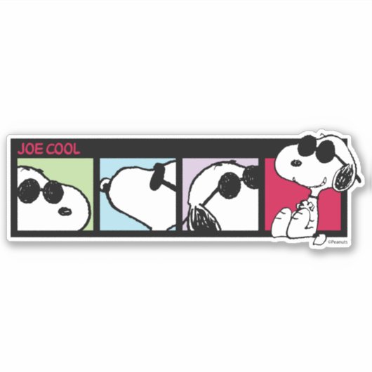 Joe Cool Photo Reel Sticker (Voorkant)