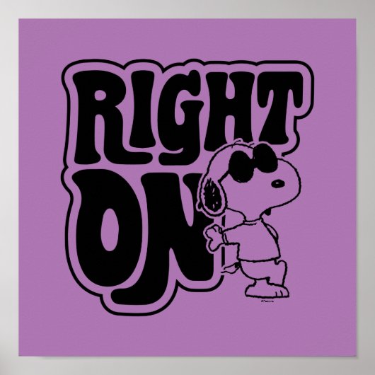 Joe Cool - rechts op Poster (Voorkant)