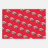 Joe en Kamala Aviator Kerstmis Inpakpapier Vel (Voorkant 3)