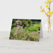 Joe Pye Flowers Note Card Kaart (Gele Bloem)