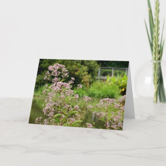 Joe Pye Flowers Note Card Kaart (Voorkant)