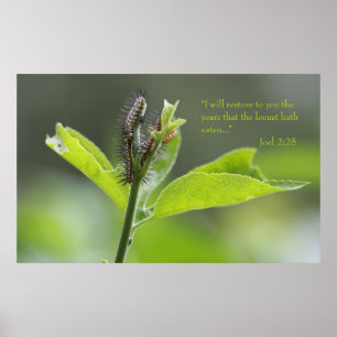 Joel 2:25 het Poster van de Manuscript (Versie C)