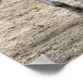 Joel Rosario over het WK van Dubai Poster (Hoek)