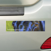 Joe's Eyes Bumpersticker (Op auto)