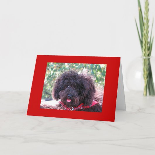 Joey "Bedankt" Bedankkaart (Voorkant)