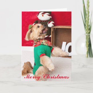 Joey Bezorgd voor Kerstmis (2015) Feestdagen Kaart