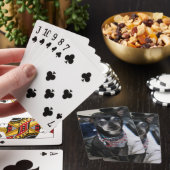Joey de chihuahua-speelkaarten pokerkaarten (Insitu)