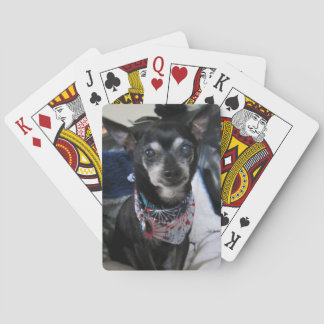 Joey de chihuahua-speelkaarten pokerkaarten