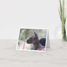 Joey Love - Kinderverjaardag Kaart