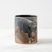 Joey’s ochtendroutine: vuil eerst, koffie tweede mok (Midden)