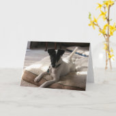"Joey" Smooth Fox Terrier Dog Foto Wenskaart Kaart (Gele Bloem)