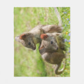 Joey Wallabies in de zon Fleece Deken (Voorkant)