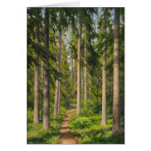 Johan Krouthén Solbelyst skogsstig CC0446 (Voorkant)