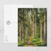 Johan Krouthén Solbelyst skogsstig CC0461 Briefkaa Briefkaart (Voorkant / Achterkant)