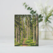 Johan Krouthén Solbelyst skogsstig CC0461 Briefkaa Briefkaart (Staand voorkant)