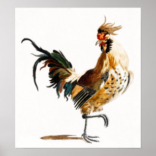  Johan Teyler A Rooster Chicken Poster