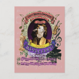 Johann Alpacabel Alpaca Animal Composer Pachelbel Briefkaart