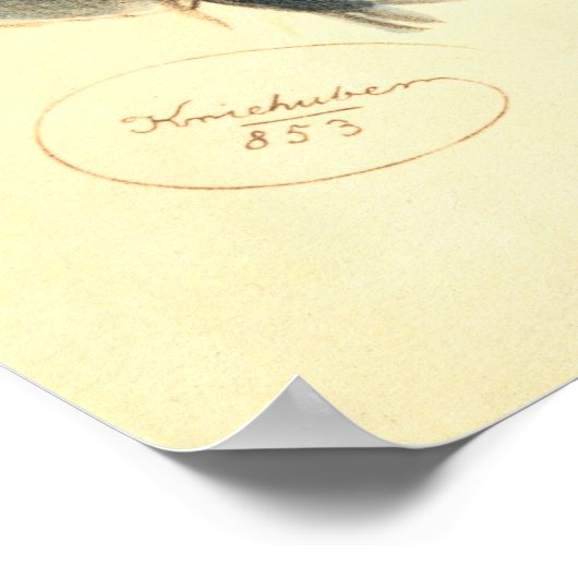 Johann Strauss de Ouder Poster (Hoek)