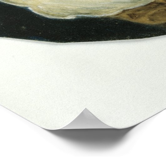 Johanna Elisabeth Mencken Poster (Hoek)