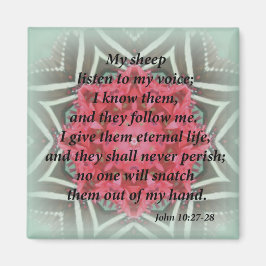 Johannes 10:27-28 magneet