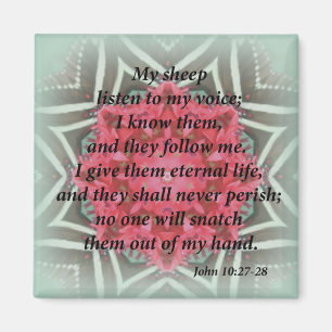 Johannes 10:27-28 magneet