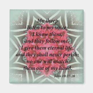 Johannes 10:27-28 magneet