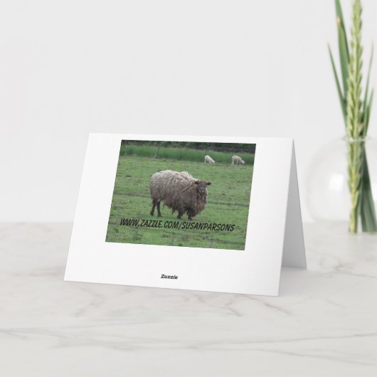 Johannes 10:27 en 28, Schaap Kaart (Achterkant)