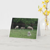 Johannes 10:27 en 28, Schaap Kaart (Gele Bloem)