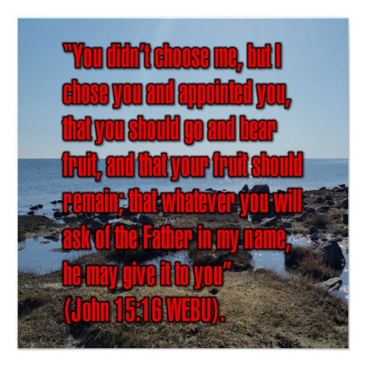 Johannes 15:16 WEBU Perfect Poster (Voorkant)