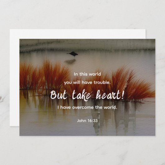 Johannes 16:33 Ik heb Overwonnen Bijbelvers Vlakke (Voorkant / Achterkant)