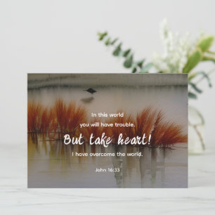 Johannes 16:33 Ik heb Overwonnen Bijbelvers Vlakke