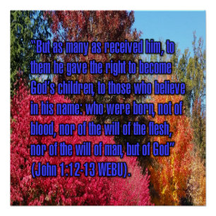 Johannes 1:12-13 WEBU Perfect Poster