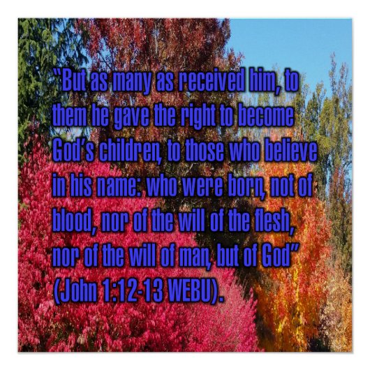 Johannes 1:12-13 WEBU Perfect Poster (Voorkant)