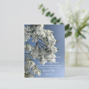 Johannes 3:16 Aangepaste tekst Sneeuw Natuur ori Briefkaart