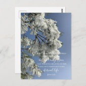 Johannes 3:16 Aangepaste tekst | Sneeuw Natuur ori Briefkaart (Voorkant / Achterkant)